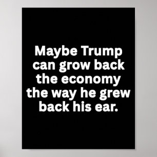 Anti-trump funny sarcastic political humour satire poster
