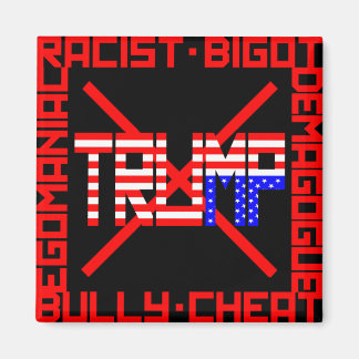 Anti Trump Magnet