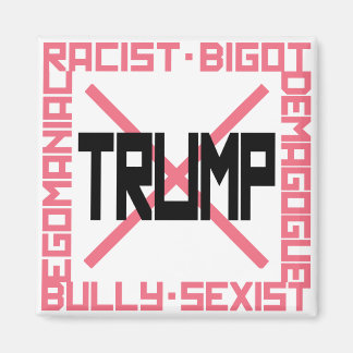 Anti-Trump Pink Magnet