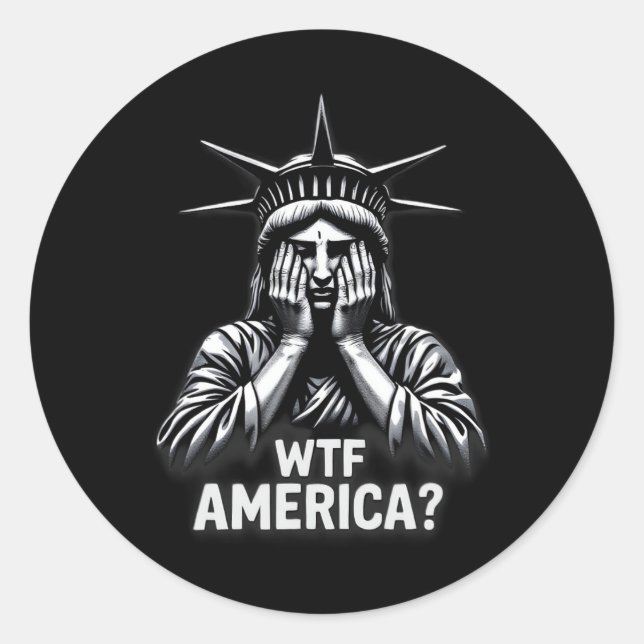 Anti-trump Political And Democracy Wtf America  Classic Round Sticker (Front)