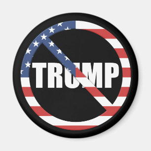 Anti-Trump Pro-Democracy Magnet