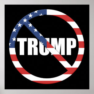 Anti-Trump Pro-Democracy Poster