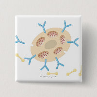 Antibodies Binding to Mast Cell