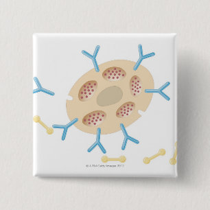 Antibodies Binding to Mast Cell 15 Cm Square Badge