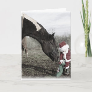 "Anticipation" Holiday Card