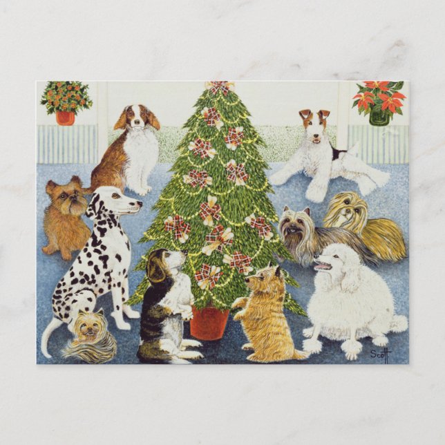 Anticipation Holiday Postcard (Front)