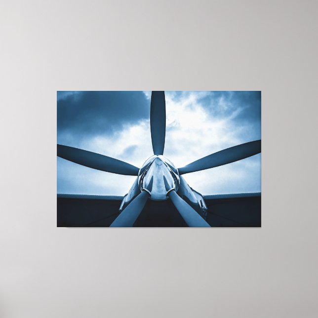 Anticipation Of Flight Canvas Print (Front)