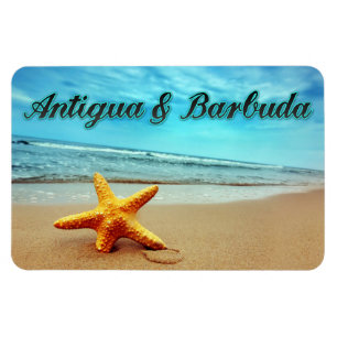 Antigua & Barbuda starfish Magnet