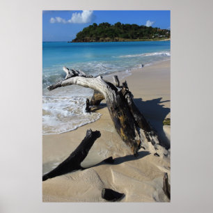 Antigua beach Poster