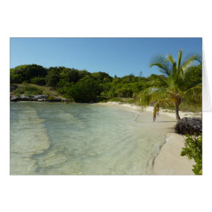 Antiguan Beach Beautiful Tropical Landscape