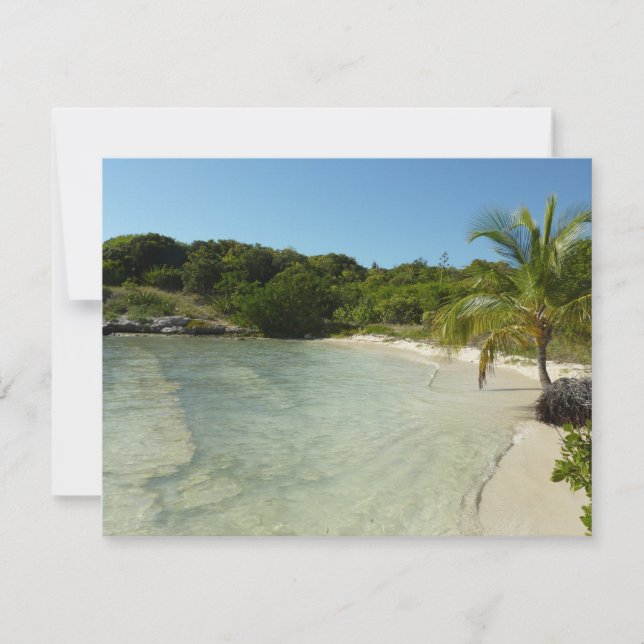 Antiguan Beach Beautiful Tropical Landscape (Front)
