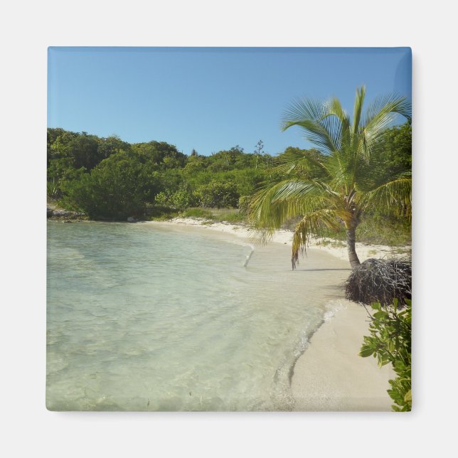 Antiguan Beach Beautiful Tropical Landscape Magnet (Front)