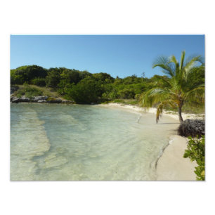 Antiguan Beach Beautiful Tropical Landscape Photo Print