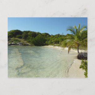Antiguan Beach Beautiful Tropical Landscape Postcard