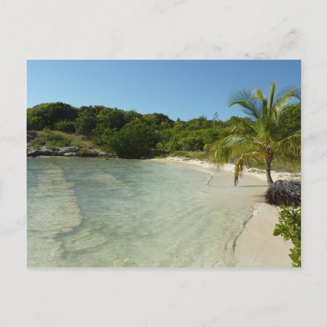 Antiguan Beach Beautiful Tropical Landscape Postcard (Front)