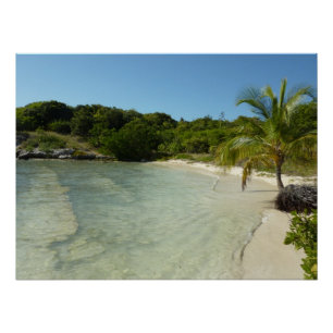 Antiguan Beach Beautiful Tropical Landscape Poster