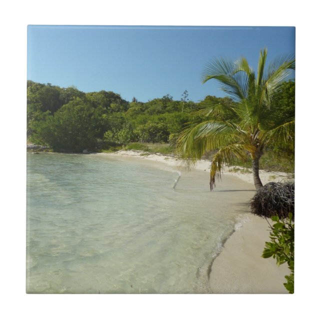 Antiguan Beach Beautiful Tropical Landscape Tile (Front)
