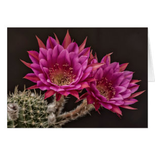 Antimatter blooms
