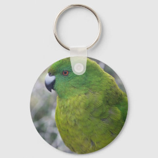 Antipodes Island Parakeet Key Ring