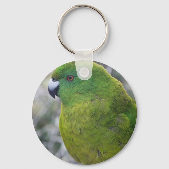 Antipodes Island Parakeet Key Ring (Front)