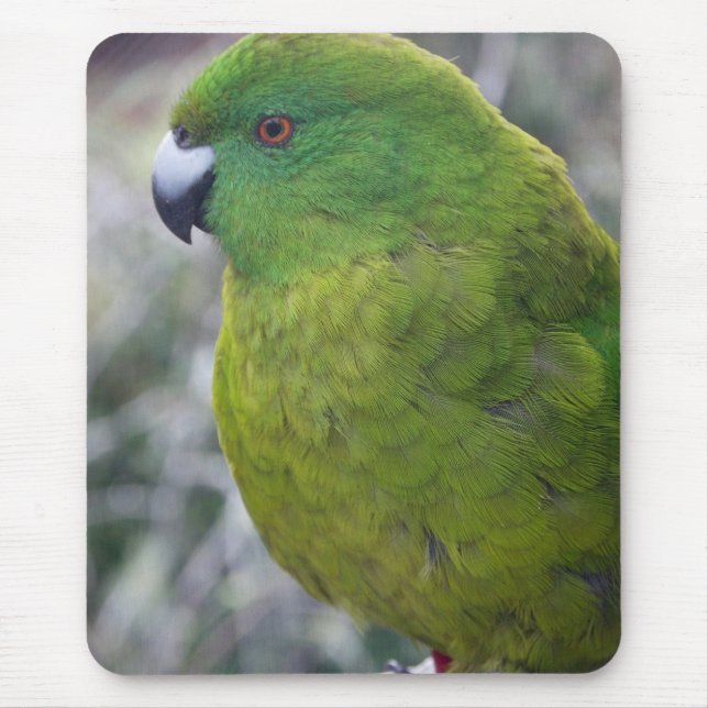 Antipodes Island Parakeet Mouse Mat (Front)