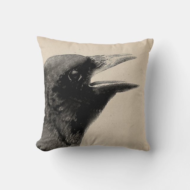 Antiquated Cushion (Front)