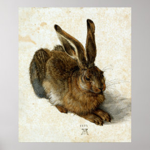 Antique 1502 Hare by Albrecht Dürer Poster
