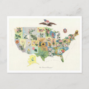 Antique 1911 USA State Flowers Map Postcard