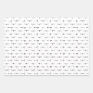Antique Aeroplanes Aviation Art CUSTOM COLOR Wrapping Paper Sheet