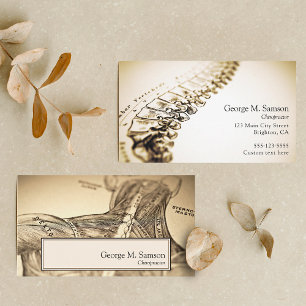 Antique anatomical illustration chiropractor  business card