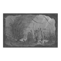 Antique aquarium print seahorses fishes