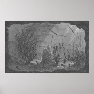 Antique aquarium print seahorses fishes