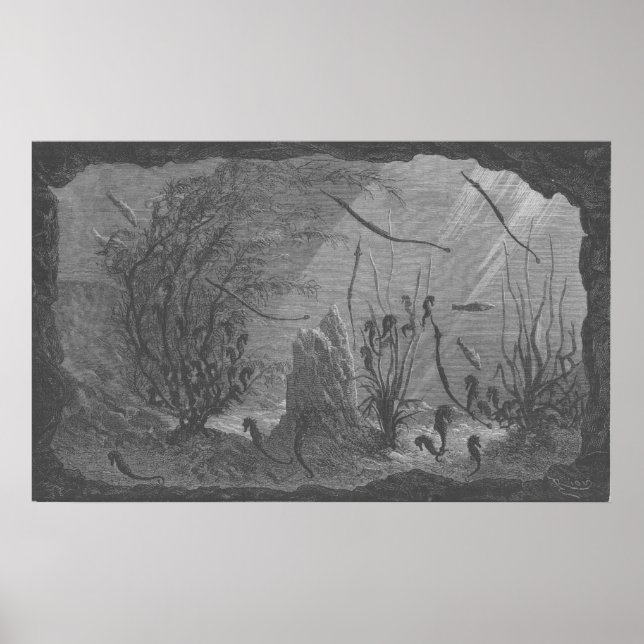 Antique aquarium print seahorses fishes (Front)