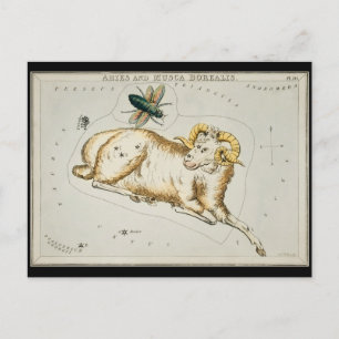 Antique Aries Astronomical Chart Zodiac Astronomy Postcard