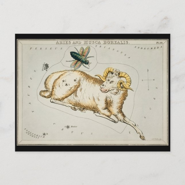 Antique Aries Astronomical Chart Zodiac Astronomy Postcard (Front)