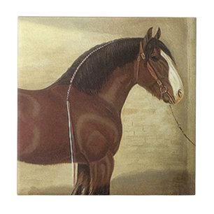 Antique Art Bay Clydesdale Draught Horse Tile