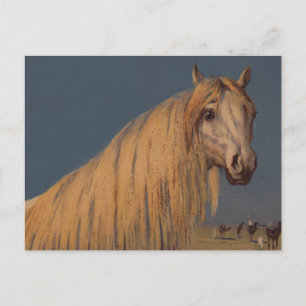 Antique Art Twilight Desert Arabian Horse Postcard