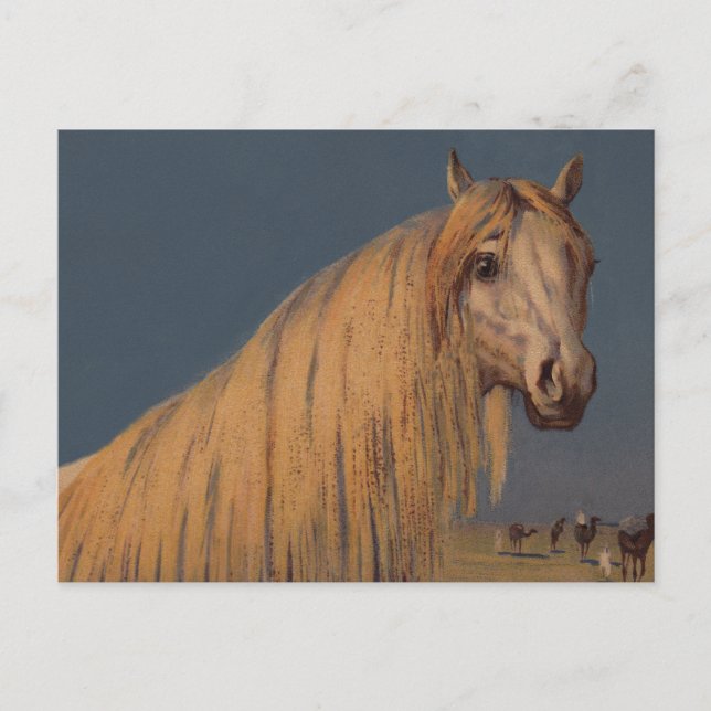 Antique Art Twilight Desert Arabian Horse Postcard (Front)