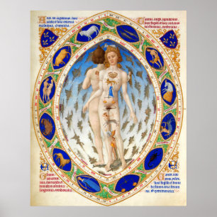 ANTIQUE ASTROLOGY ,MICROCOSMO AND ZODIACAL SIGNS