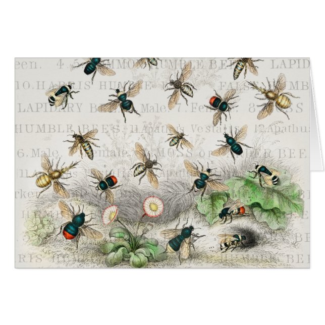 Antique Bee Honey Worker Queen Bees Vintage (Front Horizontal)