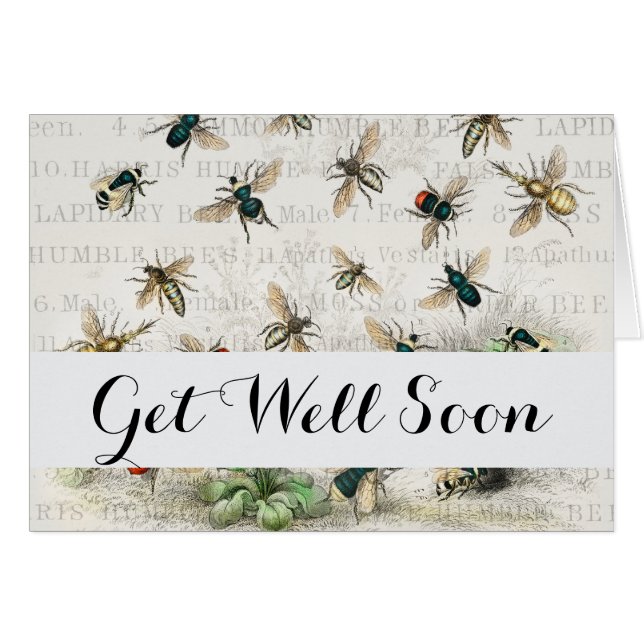 Antique Bee Honey Worker Queen Bees Vintage (Front Horizontal)