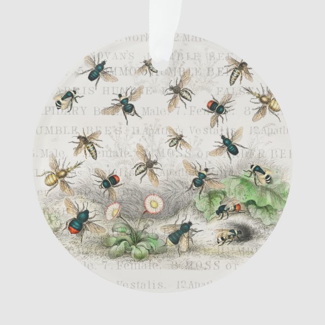 Antique Bee Honey Worker Queen Bees Vintage Ornament (Front)