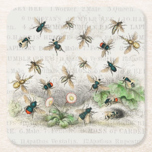 Antique Bee Honey Worker Queen Bees Vintage Square Paper Coaster
