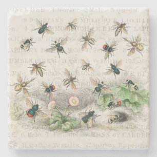 Antique Bee Honey Worker Queen Bees Vintage Stone Coaster