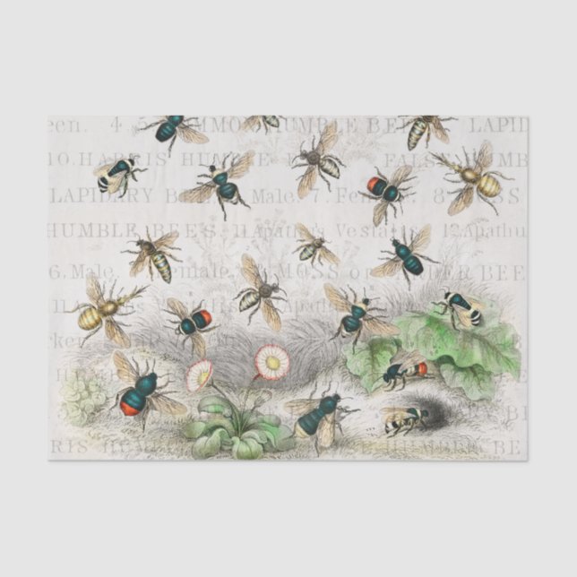 Antique Bee Honey Worker Queen Bees Vintage Tissue Paper (Front)