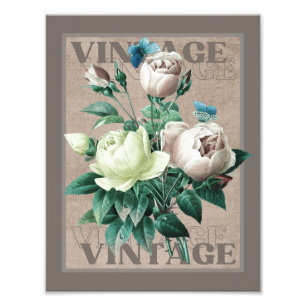 Antique Beige Vintage Heirloom Rose Fine Art Print