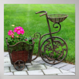 Antique Bicycle Flower Container Poster