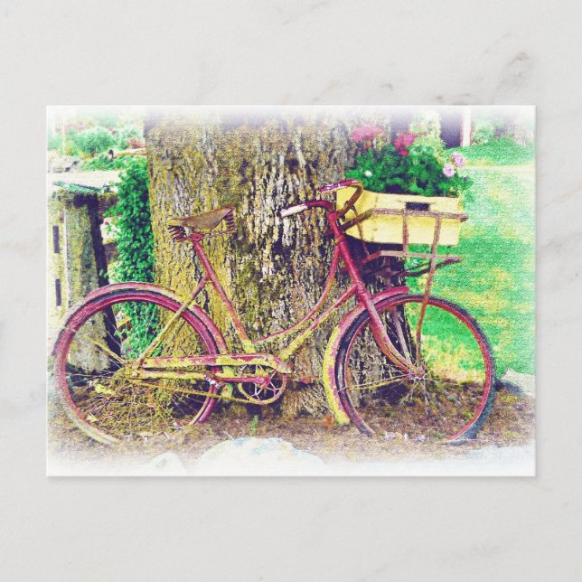 Antique Bike with Flower Basket Postcard (Front)