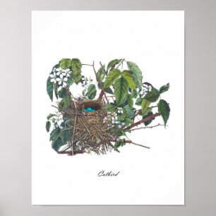 Antique Bird Nest #2 Shabby Chic Home Decor Art