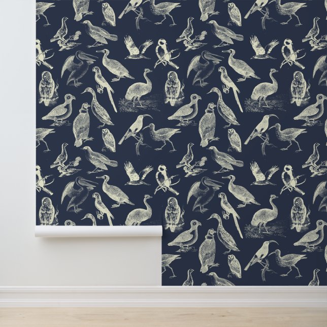 Antique Birds Illustrations Engravings Cream Navy Wallpaper (Application)